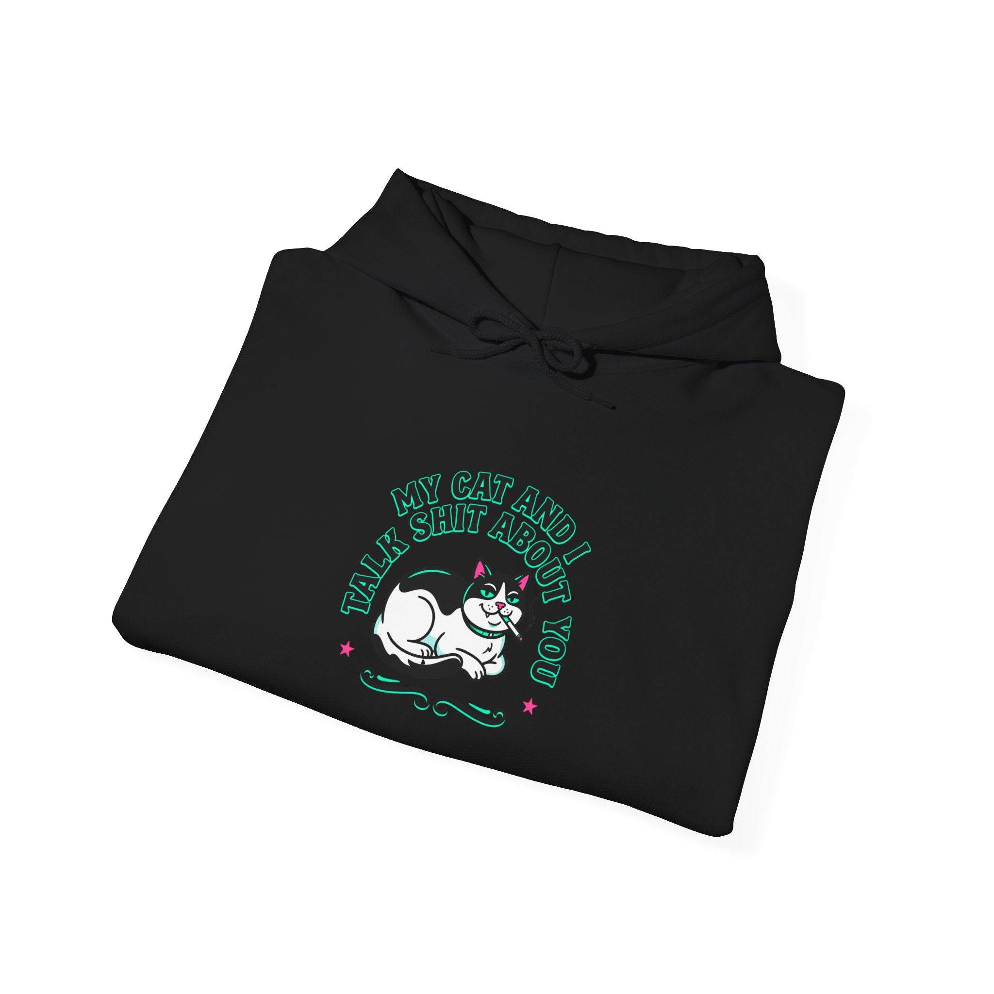 Talks My Cat and I Shit About You Hoodie | funny cat shirt, meme cat