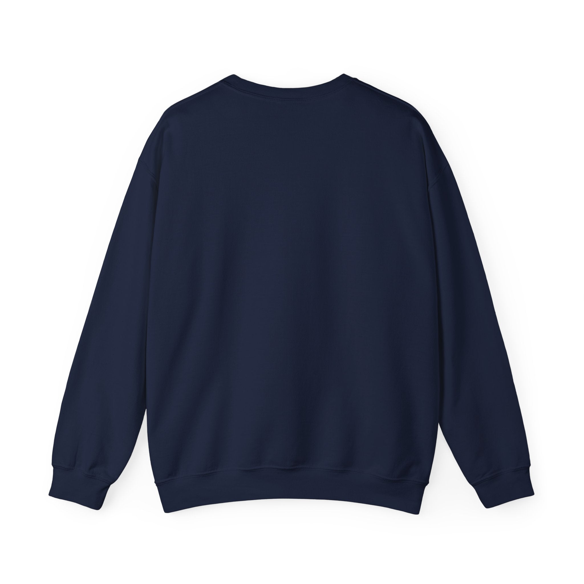 Funny Cat Motto Sweatshirt | black cat, retro cat