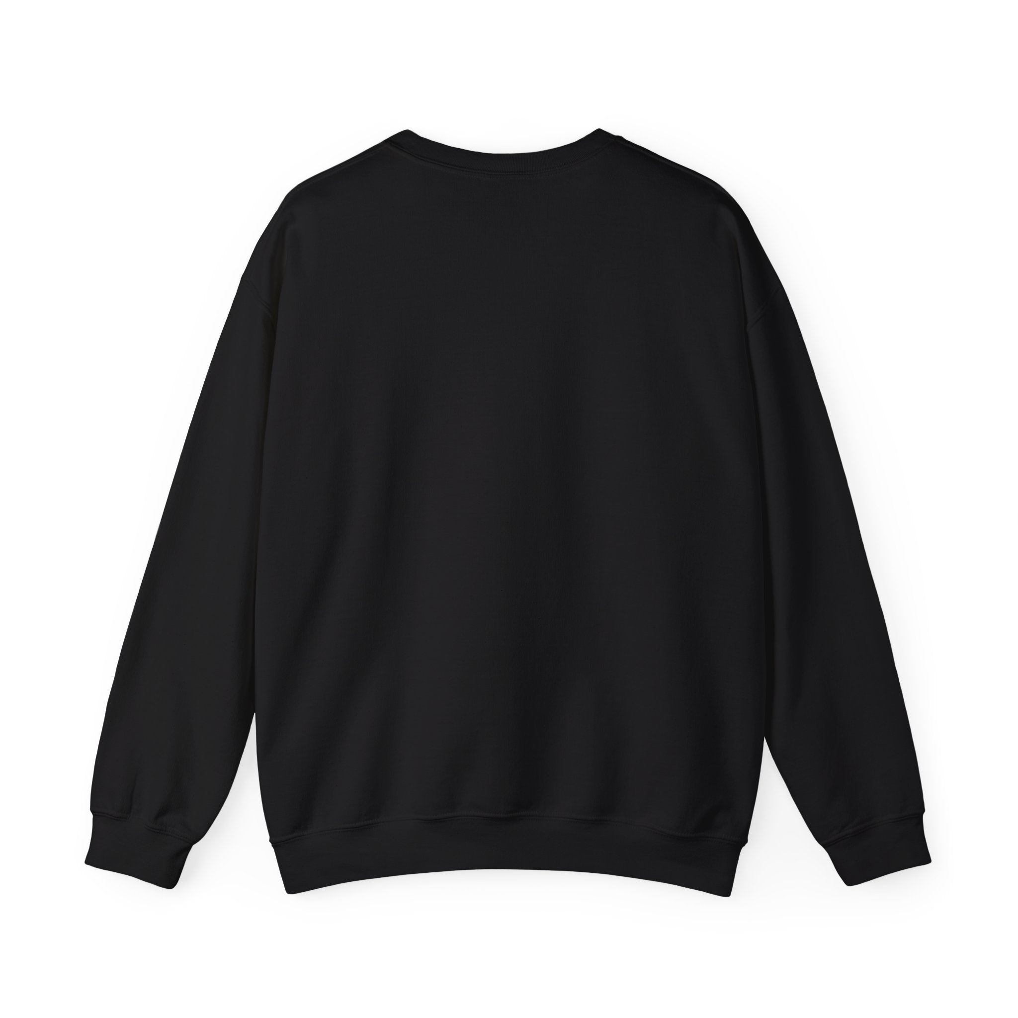 Funny Cat Motto Sweatshirt | black cat, retro cat