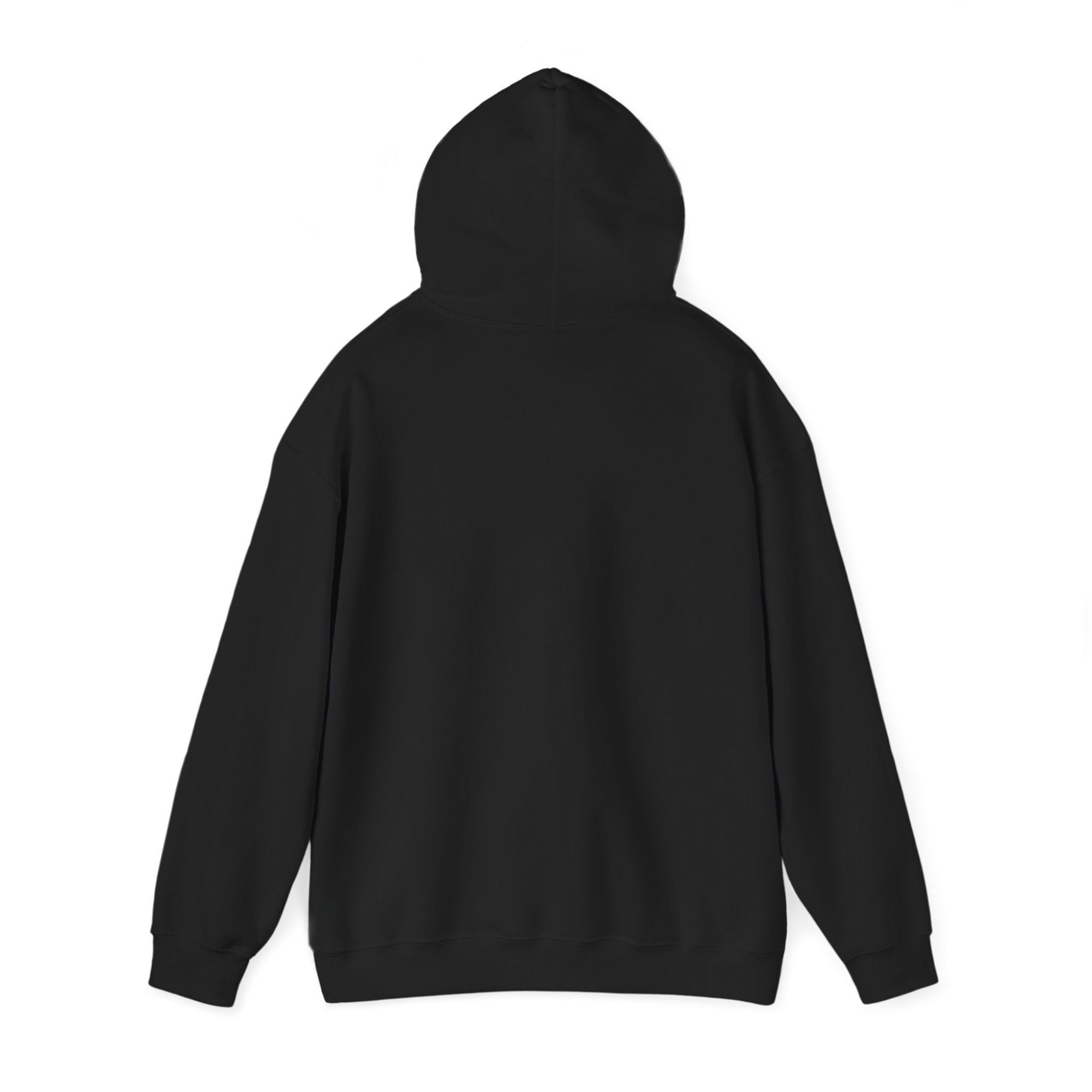 Talks My Cat and I Shit About You Hoodie | funny cat shirt, meme cat